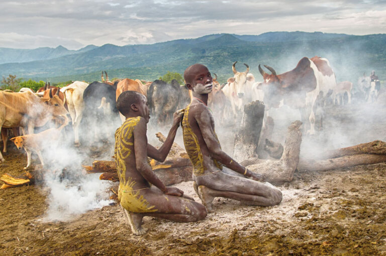 Los miembros de la tribu aplican el estiércol fresco de la vaca en su cuerpo como pintura corporal.