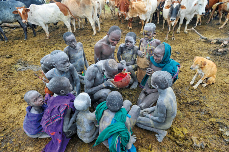 Los hombres de la tribu beben la sangre fresca de vaca.