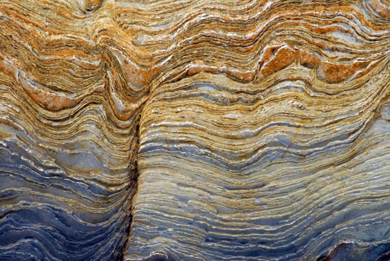 Capas de rocas plegadas en el flysch