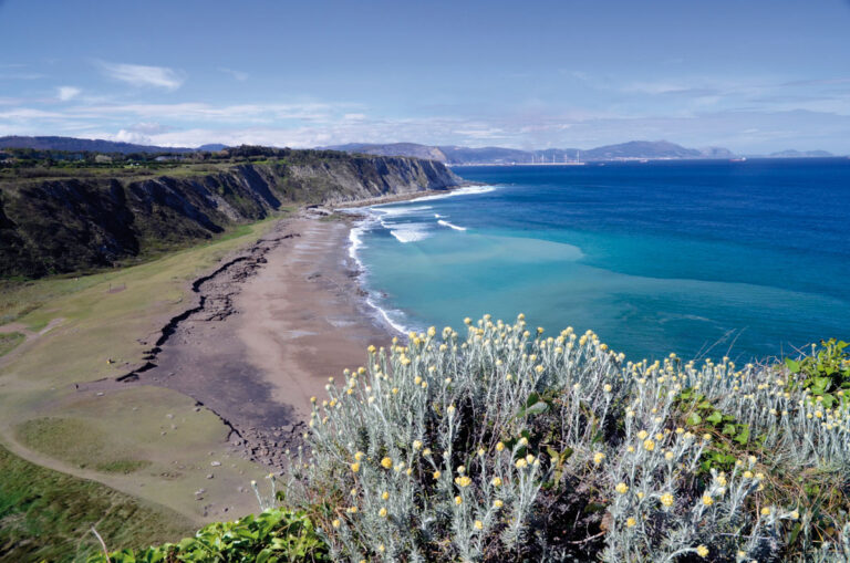 Playa de Gorrondatxe