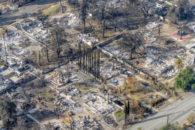 La huella del fuego en las colinas de Altadena, donde el verde se transformó en ceniza. ©Jeffrey Milstein