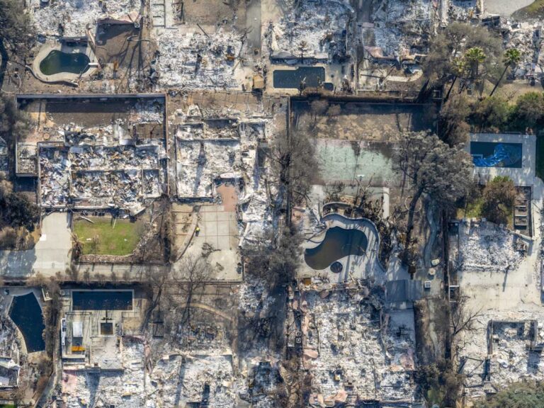 La huella del fuego en las colinas de Altadena, donde el verde se transformó en ceniza. ©Jeffrey Milstein