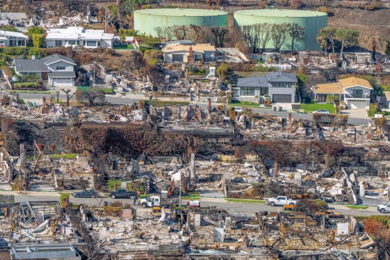 Palisades tras los incendios de enero de 2025. El eco silencioso de un paisaje que fue hogar. ©Jeffrey Milstein