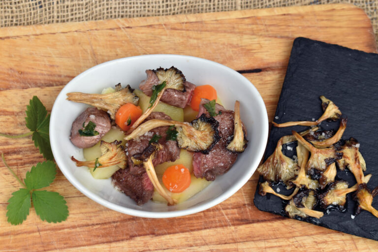 Estofado de cantharellus con ternera y verduras en plato blanco
