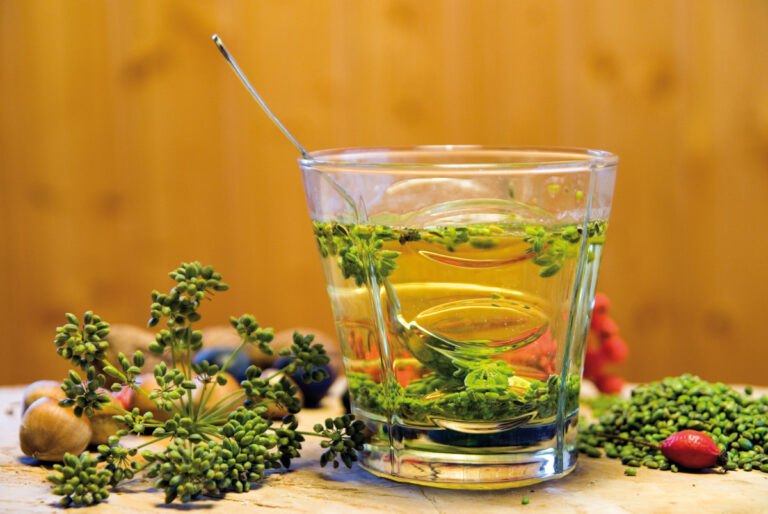 Vaso con infusión de hinojo silvestre y semillas alrededor