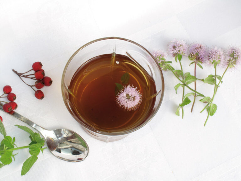 Infusión de menta en un vaso con flores y hojas alrededor.