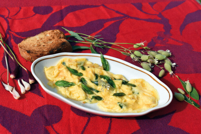 Revuelto de collejas y ajos silvestres servido en un plato blanco