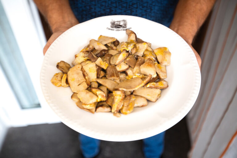 Salteado de Boletus edulis con yemas de huevo.