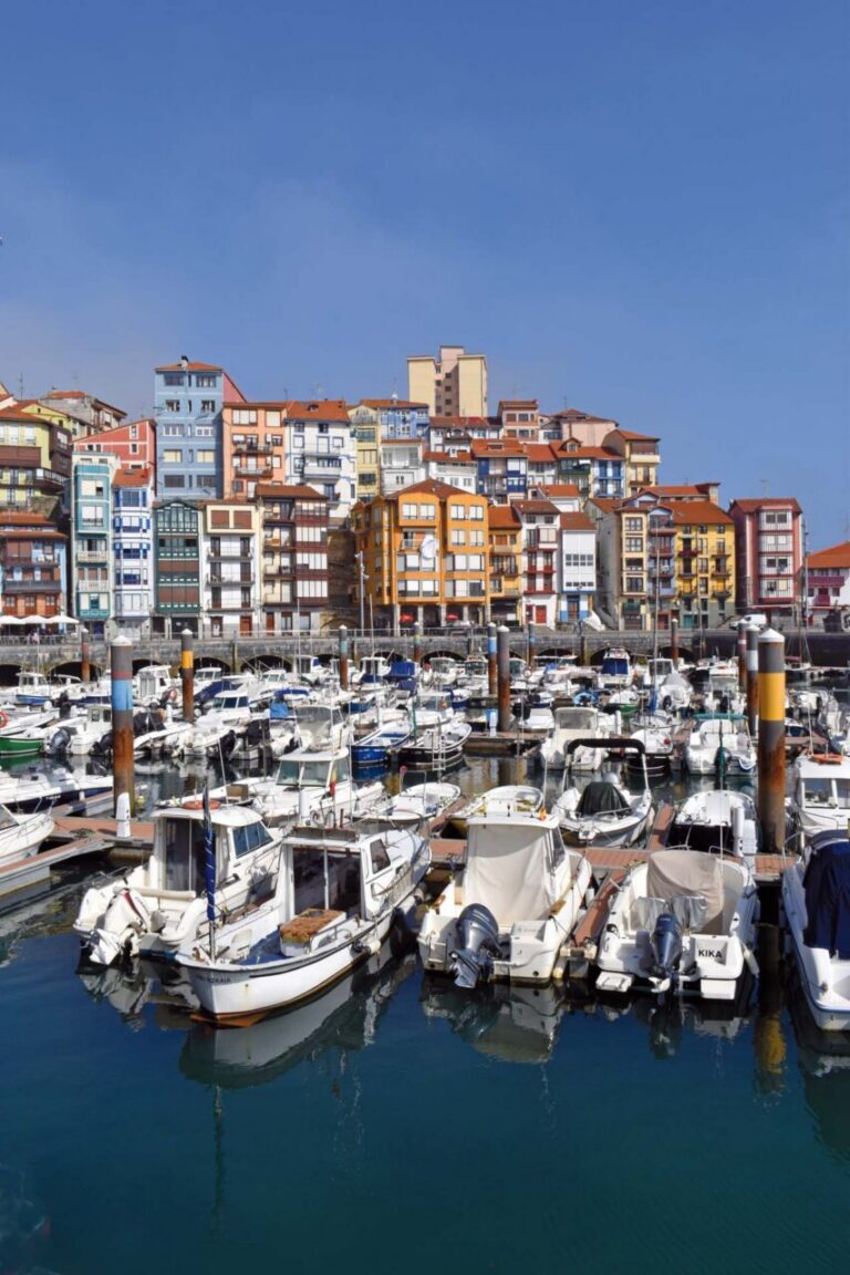 Vista del puerto pesquero de Bermeo con barcos y edificios coloridos. @Jon Benito