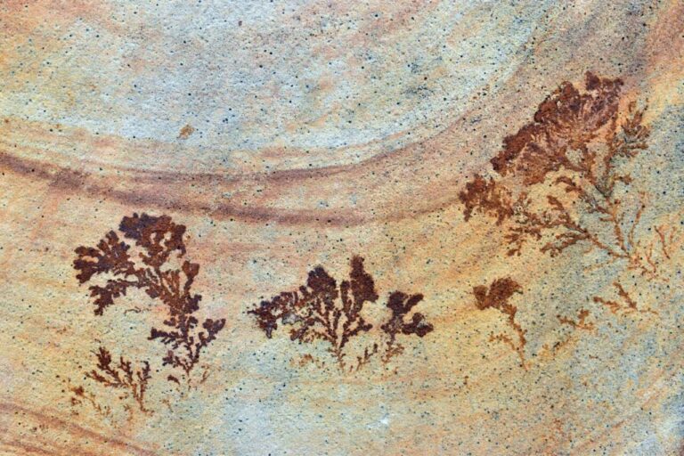 Formaciones dendríticas en roca que parecen grafitis naturales.