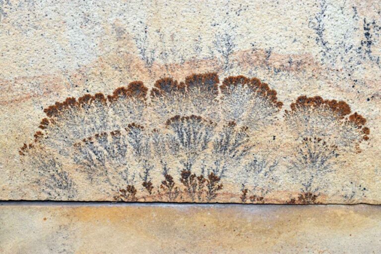 Dendritas en piedra que parecen grafitis naturales en Bilbao