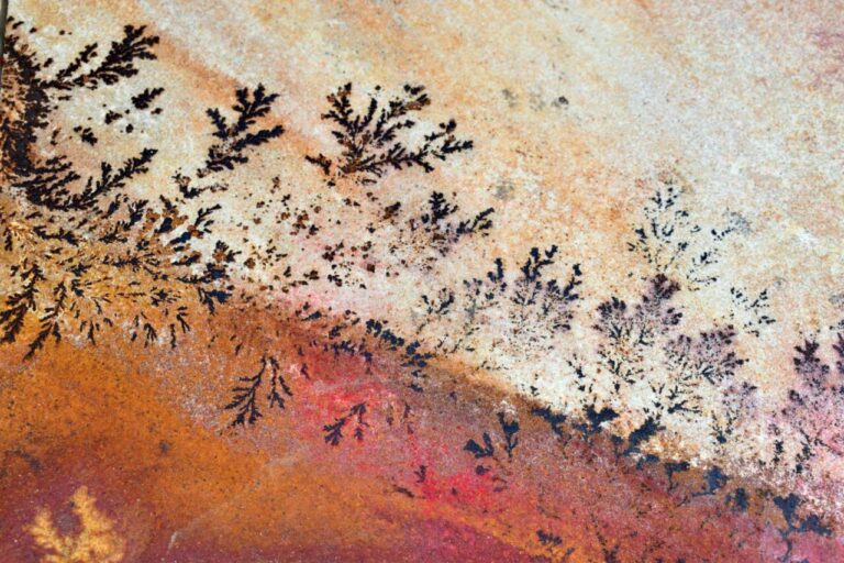 Formaciones dendríticas en una roca que parecen grafitis naturales.