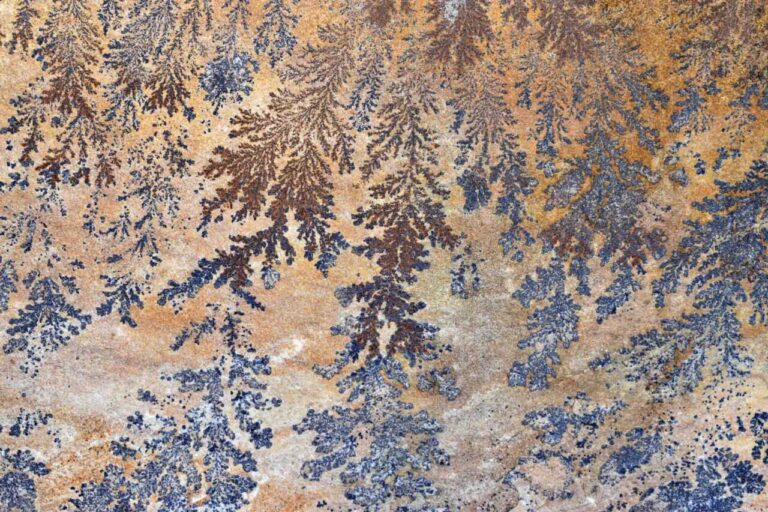 Dendritas en piedra que parecen grafitis naturales en Bilbao