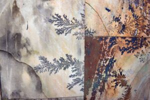 Dendritas en baldosas de arenisca en Bilbao