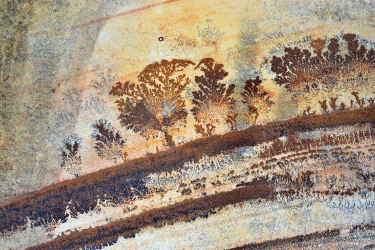Formaciones dendríticas en roca que parecen grafitis naturales.