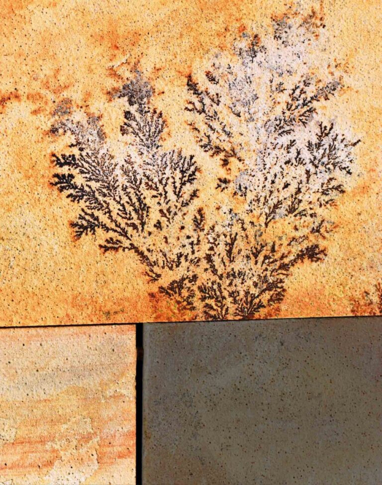 Dendritas en baldosas de arenisca con apariencia de grafitis naturales