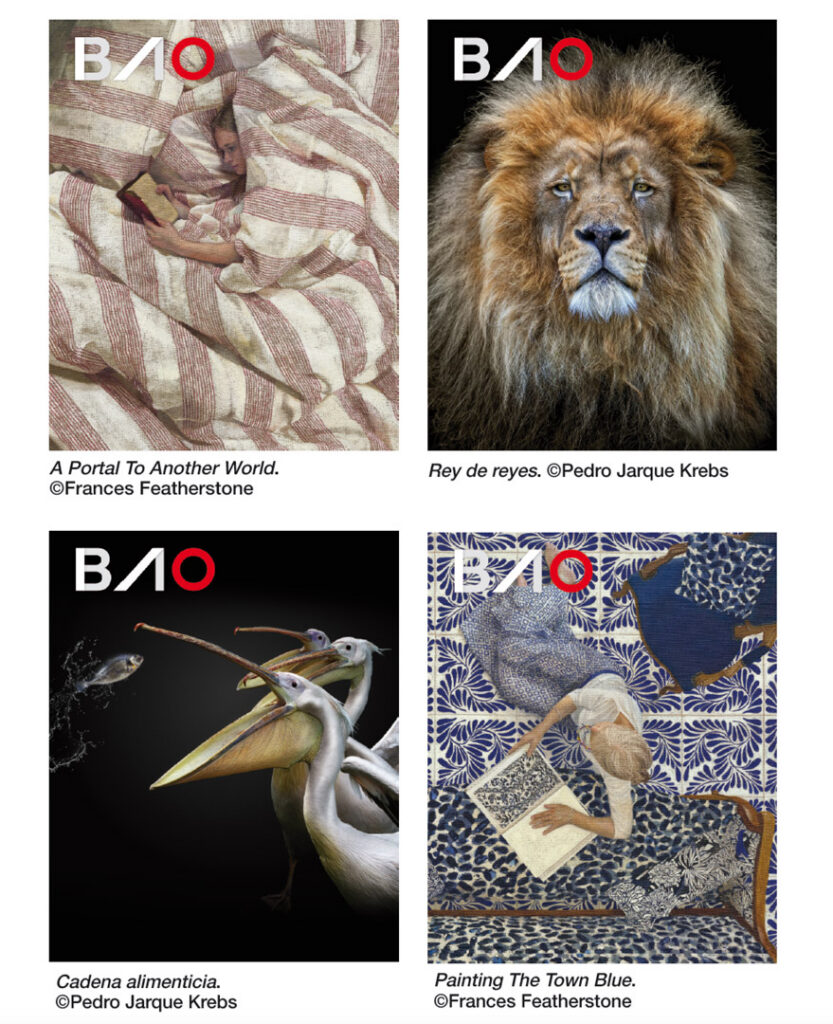 Cuatro portadas del número 31 de BAO con diversas ilustraciones