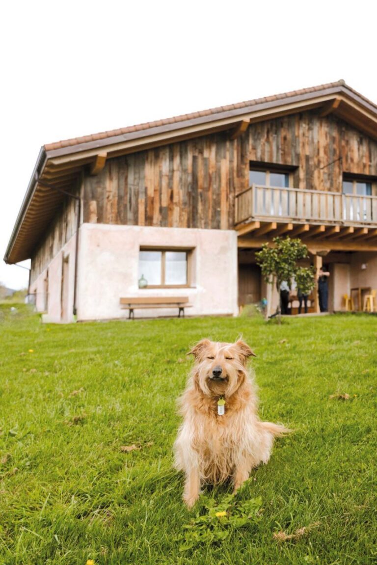 Casa Rural Lastoetxe, ©Oier Rey Delika.