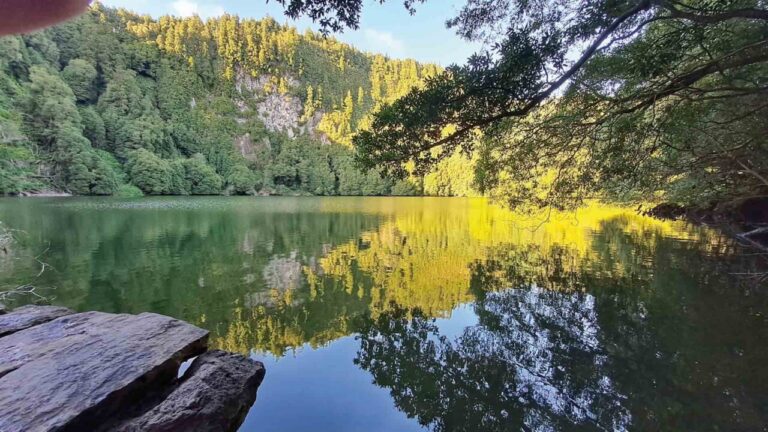 Bizkaia cuenta con tres grandes parques naturales y varios espacios protegidos que convierten al territorio en uno de los grandes referentes de naturaleza del norte peninsular.