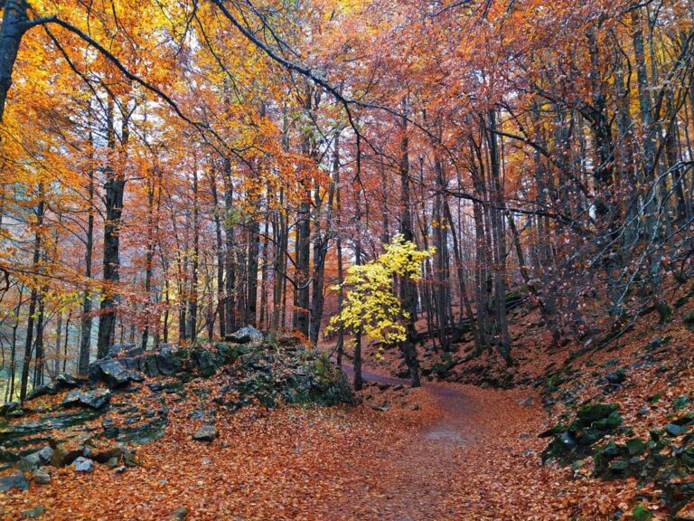 La naturaleza más verde de Bizkaia se despliega entre montañas, senderos y frondosos bosques atlánticos.