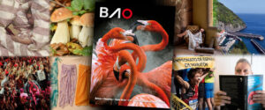 Portada de la revista BAO con flamencos y elementos visuales variados