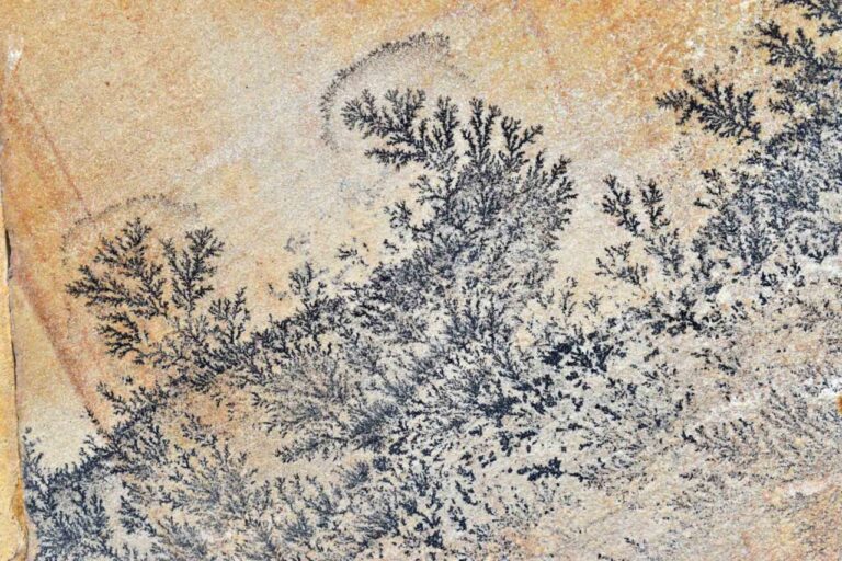 Dendritas en roca mostrando patrones similares a grafitis naturales